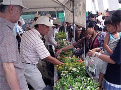 大阪都島ライオンズクラブ 第38回 都島区民祭り 花鉢1,000個の無料配布が、アットいう間に終了しました。