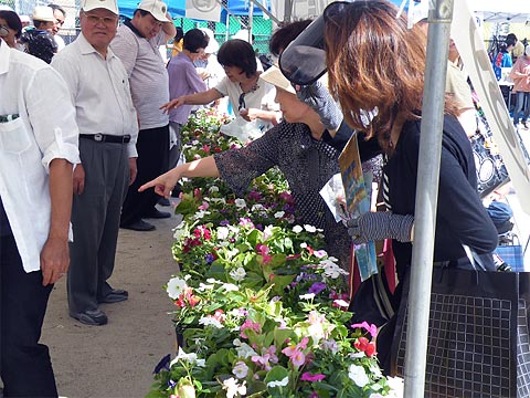 大阪都島ライオンズクラブ 第39回 都島区民祭り 当日は、晴天に恵まれ沢山の市民の方々が区民祭りに参加されました。