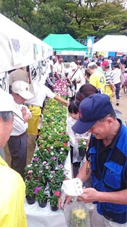 大阪都島ライオンズクラブ 第43回 都島区民祭り 花鉢1,000個の無料配布を実施いたしました。