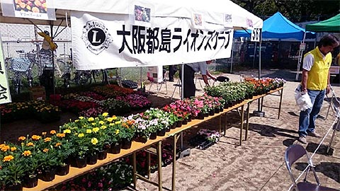 大阪都島ライオンズクラブ 第44回 都島区民祭り 花鉢1,000個の無料配布を実施（ただ今準備中）
