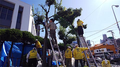 都島ライオンズクラブ 10月18日（金） 45年もの長きにわたり、当クラブで寄付した水門緑地広場の植木剪定作業を実施しました。