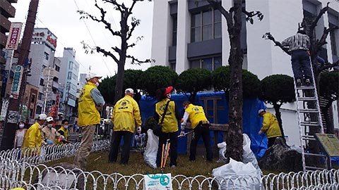 都島ライオンズクラブ 11月13日（金） 45年もの長きにわたり、当クラブで寄付した水門緑地広場の植木剪定作業を実施しました。